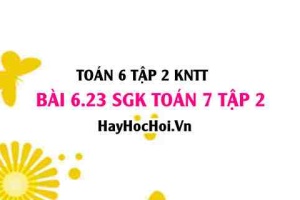 Bài 6.23 SGK Toán 7 tập 2 Kết nối tri thức